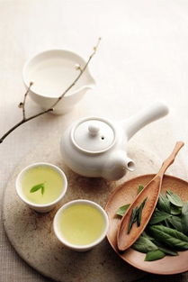 茶葉養(yǎng)生 鄭佩佩、凱麗領(lǐng)銜，媽媽們的健康保養(yǎng)經(jīng)
