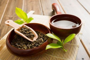 品味時光 探尋最佳品飲季節的茶葉之美