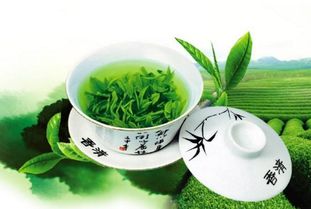孕婦可以喝茶嗎？茶葉對孕期的影響和注意事項
