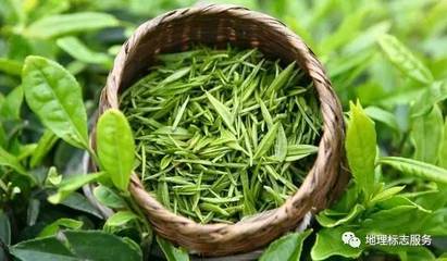 地理標志產品走向世界 廣西百色芒果與桂平西山茶獲中歐互認，衛生潔具產業迎發展新契機
